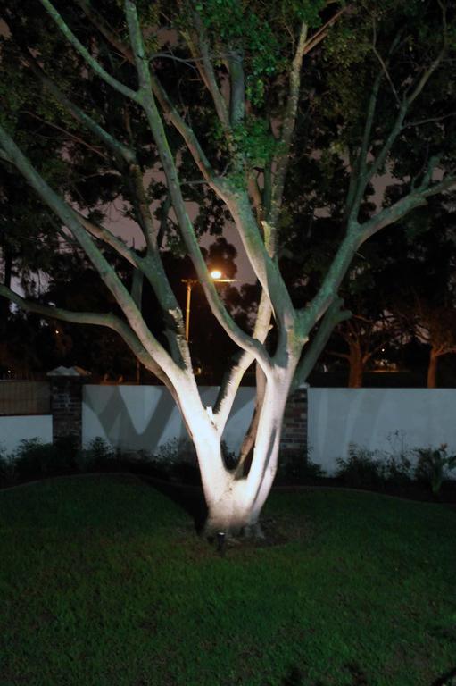 Chaston Manor Hotel Cape Town Luaran gambar
