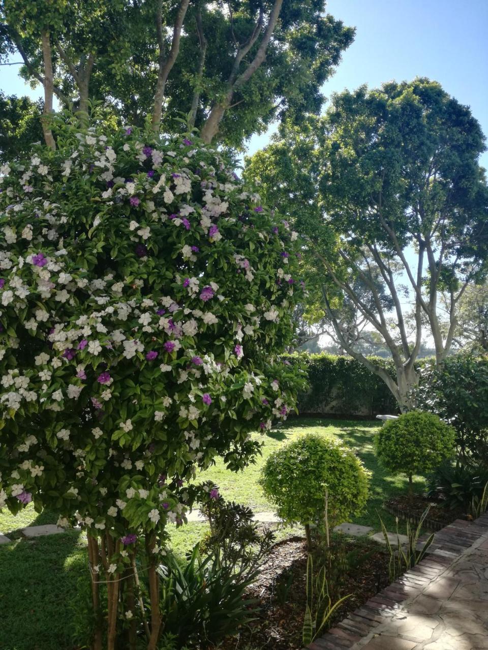 Chaston Manor Hotel Cape Town Luaran gambar